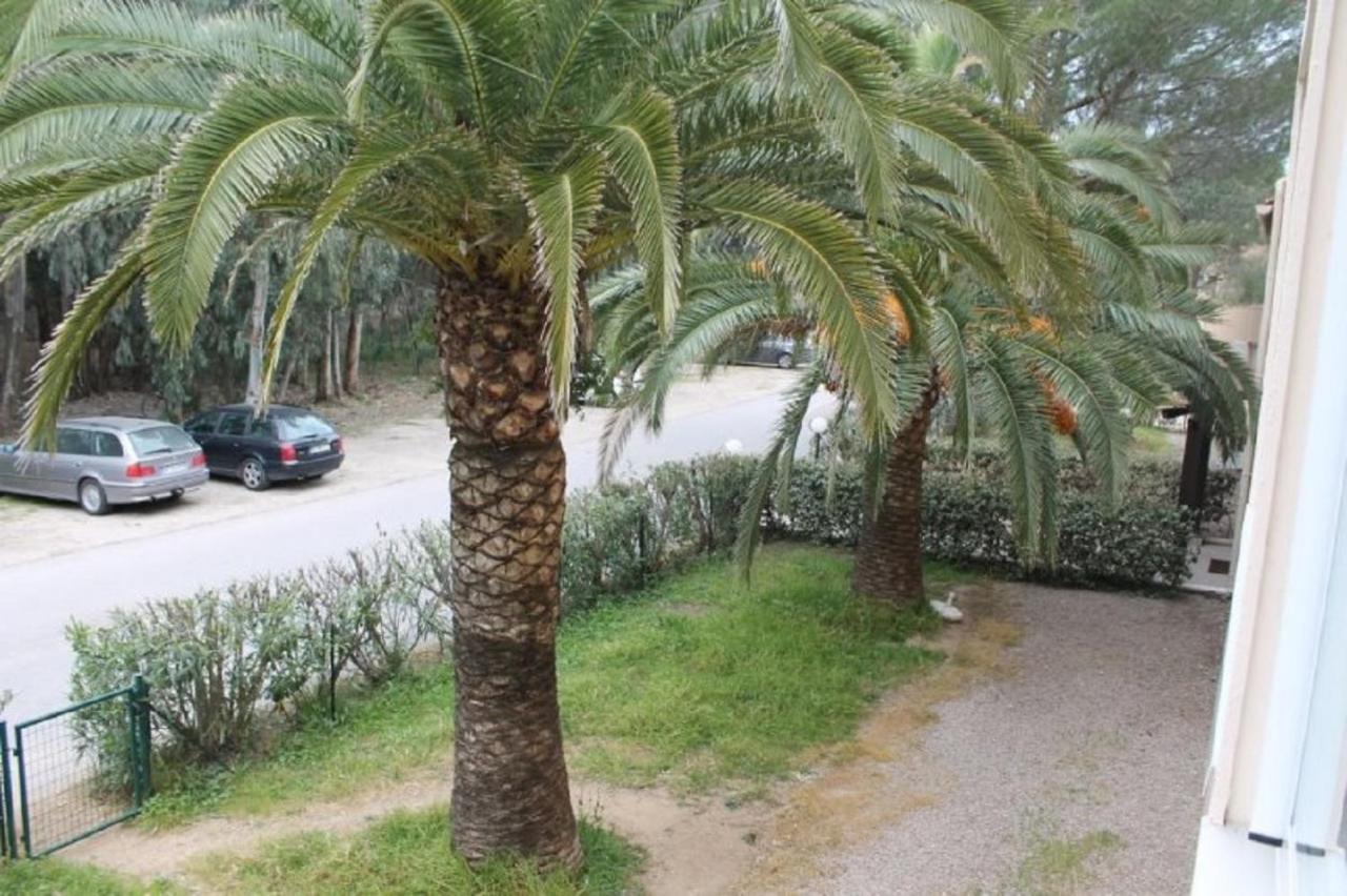 T2 Calvi Entierement Equipe A 150M De La Plage. Kültér fotó