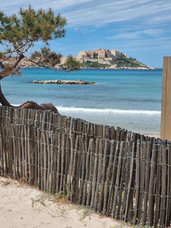 T2 Calvi Entierement Equipe A 150M De La Plage. Kültér fotó